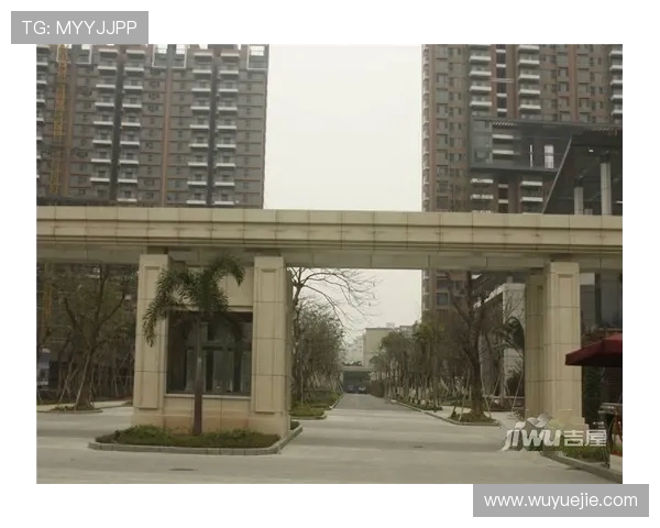 探索凯云开云集团官方网站的全部功能与最新动态信息