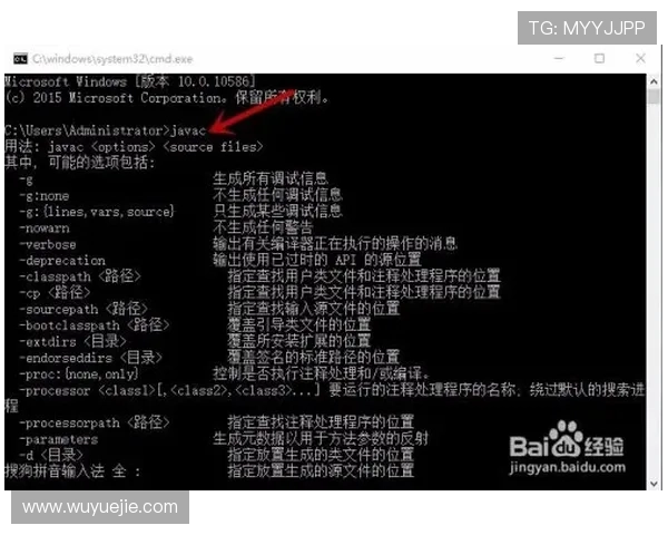 如何快速找到KY体育官网下载地址，详细步骤与注意事项解析