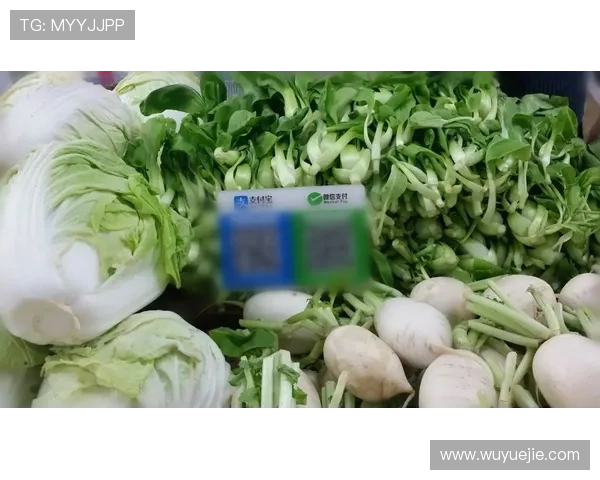 开云官方网站入口二维码安全扫码指南，保障您的账号安全与顺畅登录体验